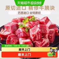 88VIP：西捷 顺丰上门 西捷巴西进口原切牛腩新鲜美味口感细腻肉质有弹性 2000g