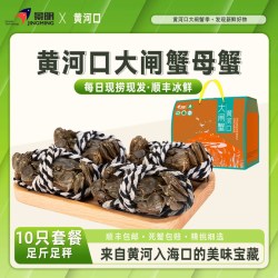 景明 黄河口大闸蟹礼盒鲜活螃蟹10只装 全母蟹2.0两