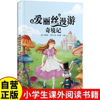 爱丽丝漫游奇境记 彩图注音版 新课标同步课外阅读书籍 一二三四五六年级必课外阅读书老师推荐故事书籍