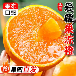 庾丰 源头直发 四川爱媛38果冻橙 新鲜水果 孕妇甜手剥柑橘子团购送礼10斤净重8-9斤优选果