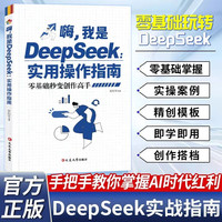 人人都能玩转AI DeepSeek工具应用及赚钱实操指南 零门槛快速上手