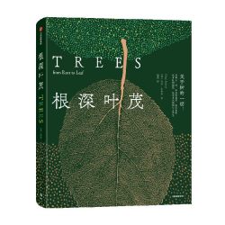 DK时间线上的科学史 DK地图上的人类史 DK时间线上的全球史 套装三册 英国DK公司著 中信出版社