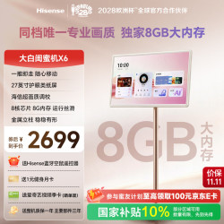 海信 27X6N 护眼类纸屏 8GB+64GB WiFi版 大白 平板电脑