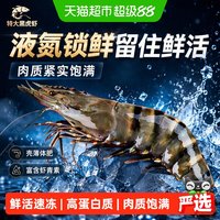 88VIP：顺丰上门黑虎虾鲜活速冻超大老虎虾特大对虾基围虾海虾冷冻九节虾