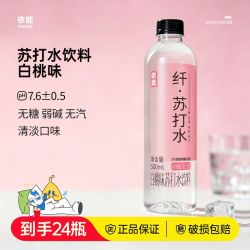 依能 苏打水饮料 青柠味