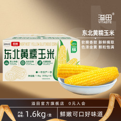 溢田 东北黄糯玉米非转基因玉米棒8只/箱共1.6kg