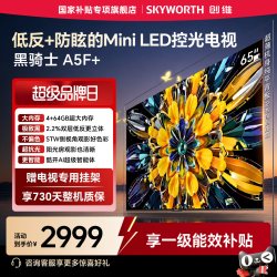 创维 黑骑士系列 液晶电视