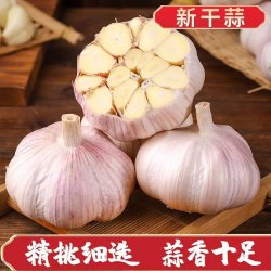 果椿礼 农家大蒜种子籽2斤1斤紫白皮大蒜头干蒜5斤多瓣农家蔬菜批发蒜头