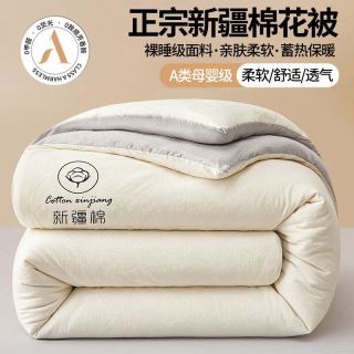 新疆A类母婴级棉花被 保暖加厚秋冬被芯被子 白灰 150*200cm 4斤
