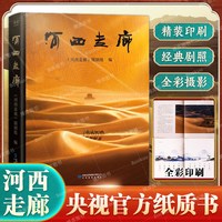 河西走廊书籍 CCTV高分纪录片河西走廊官方纸质书 高清全彩摄影照 原版解说词 敦煌壁画