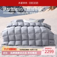 水星家纺 A类抑菌阻螨95%鹅绒冬被/春秋被/暖气被芯 防钻绒面料羽绒被子 寒域静暖抗菌鹅绒冬被(时空