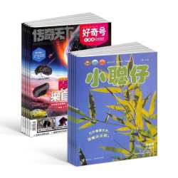 好奇号+小聪仔自然科普版杂志组合订阅  2027年1月起订 1年共24期
