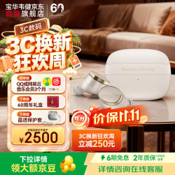 宝华韦健 Pi8 入耳式真无线蓝牙耳机 金玉白