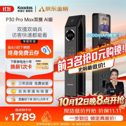 凯迪仕 P30 Pro Max 双摄AI版 电子智能锁 幻影黑