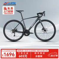 喜德盛 公路自行车2025款RC300碟刹走线车架 16速 灰黑色 480MM 灰黑色 16速