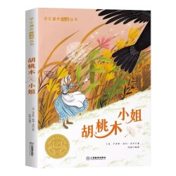 胡桃木小姐 国际大奖儿童文学小说美绘典藏版原著完整版经典名著儿童故事书必小学生三四五六年级