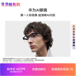 华为 Aila-G02 智能AI眼镜 钛银灰