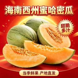 酷果汇 特大果 海南 哈密瓜 4.5斤装 1-2个