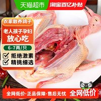 卖鱼郎先生 鸽子新鲜活体非土鸽老鸽子乳鸽鲜农家散养生鲜