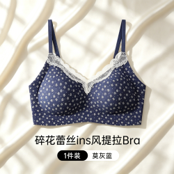 芬腾可安 蕾丝碎花甜美内衣女小胸聚拢提拉防下垂收副乳孕妇可穿 固定杯