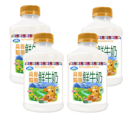 青海湖 高原娟姗鲜牛奶500ml*4瓶 高端奶牛 低温奶 巴氏杀菌