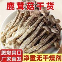 鹿茸菇干货农家鹿茸菌古田鹿茸菇高山脆脆菇煲汤食材新鲜爽脆