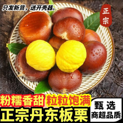 黄六爷 丹东板栗 5斤