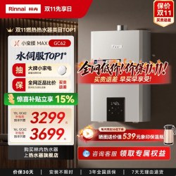 林内 鲸吨吨系列 JSQ31-GC62 燃气热水器 16L