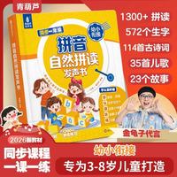 青葫芦汉语拼音自然拼读一日一练识字书幼儿幼儿认字启蒙早教书幼儿园大班每日一练