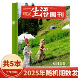 三联生活周刊杂志2026/2025/2024/2023年随机/不限年限10本打包带封面生活读书新知时