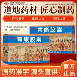 洪光 胃康胶囊0.3g*36粒 行气健胃化瘀止血制酸止痛