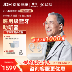 科大讯飞 耳背式数字助听器老年人耳聋耳背专用重度隐形年轻人气传导 鸿语03