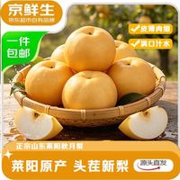 京觅 京鲜生正宗山东莱阳秋月梨净重8.5斤单果350g+爆汁