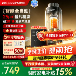 韦思卡尔 全自动反重力前置过滤器 家用20吨大通量防爆防漏精过滤25微米WSP-85-80Y Pro