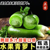 黄六爷 正宗山东水果青萝卜当季新鲜水果蔬菜腌菜泡菜脆甜爽口产地直发 5斤 美味乐享