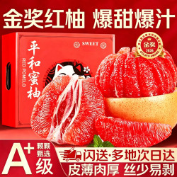 蒲恋 琯溪红心蜜柚福建新鲜柚子当季水果礼盒中秋送礼 5斤精品果净重4.5斤