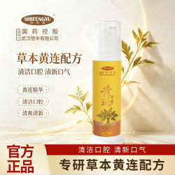 诗风语 国药控股黄连牙膏清火薄荷香型护龈清新口气泵式草本护理牙膏 黄连泵式牙膏 120g*2支