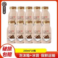 光明 巧克努力牛奶250ml*10瓶装低温牛乳饮品营养早餐