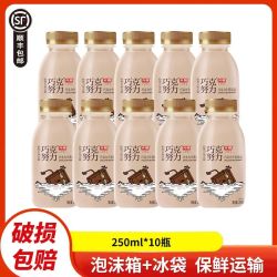 光明 巧克努力牛奶250ml*10瓶装低温牛乳饮品营养早餐