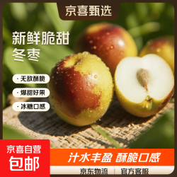 京喜加 山西庙上 冬枣 带箱5斤 单果 8g+中果