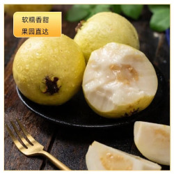 京喜加 福建漳州 白心奶油芭乐 带箱3斤 单果 150g