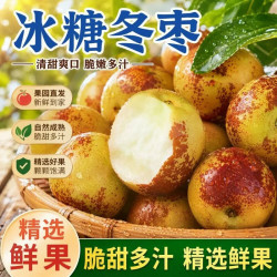 晟茂甄农 山东 沾化冬枣  冰糖脆枣甜大枣应季新鲜时令水果生鲜整箱 带箱5斤净重4.5斤尝鲜装