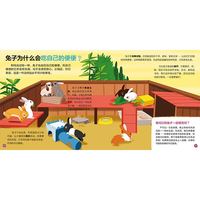 《我的小问题·4-6辑》（礼盒装、套装共25册）