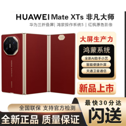 华为 MateXTS非凡大师 新品三折叠屏 鸿蒙大屏AI 三叠式鸿蒙智能2025年上市 瑞红 16GB+256GB 官方