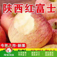 红富士 陕西红富士苹果新鲜水果红富士当季冰糖心苹果包邮农场黄金保存