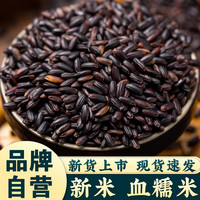 呆呆菇娘 血糯米半斤糯香米新米黏米黑糯米煲粥米包粽子原材料