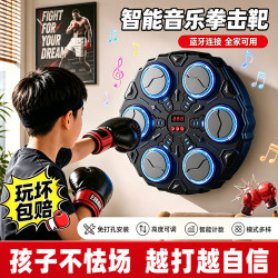 斯纳恩 儿童玩具6-14岁蓝牙音乐拳击机墙靶男孩生日礼物拳击训练器