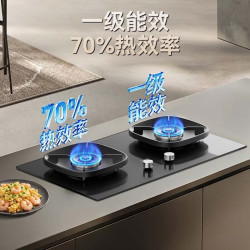 华帝 JZT-i10123 5.2kW猛火 天然气 嵌入式燃气灶