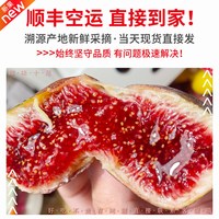 果怡芬 新鲜无花果鲜果现摘水果当季自然熟青紫红皮整箱特级大果顺丰包邮