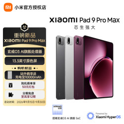 小米 平板 Xiaomi Pad 9 Pro Max 13.3 英寸 玄戒O3芯片 小米澎湃OS4 银色 16+256GB 标准版